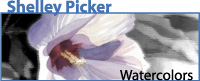 Shelley Picker Watercolors